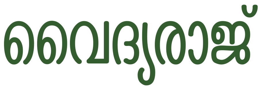 More Nutrition Logo