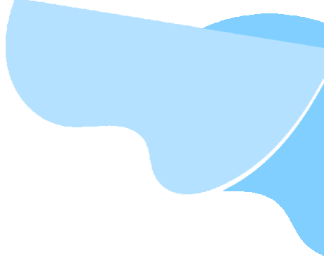 shape11