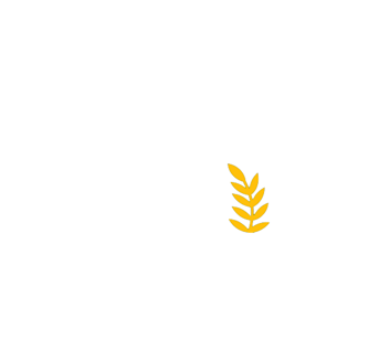 Follow Us | Image